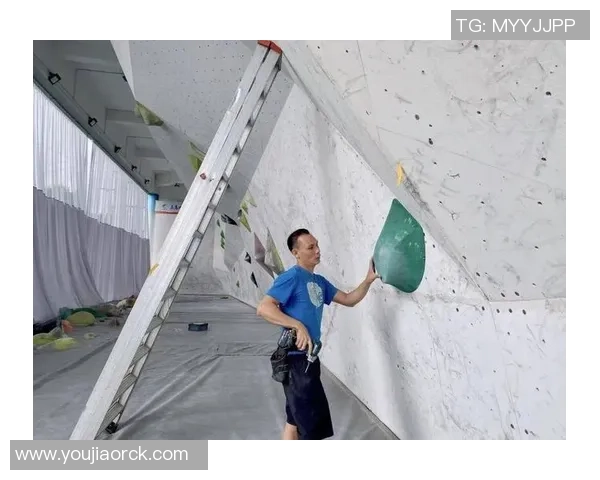 南京攀岩队运营模式创新探索助力运动发展与团队建设新篇章