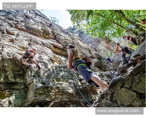 南京攀岩队勇攀高峰极限运动嘉年华精彩逆袭之旅全景回顾
