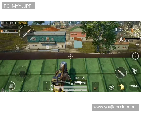 和平精英战场中的LNG团队意识与战术协作深度解析